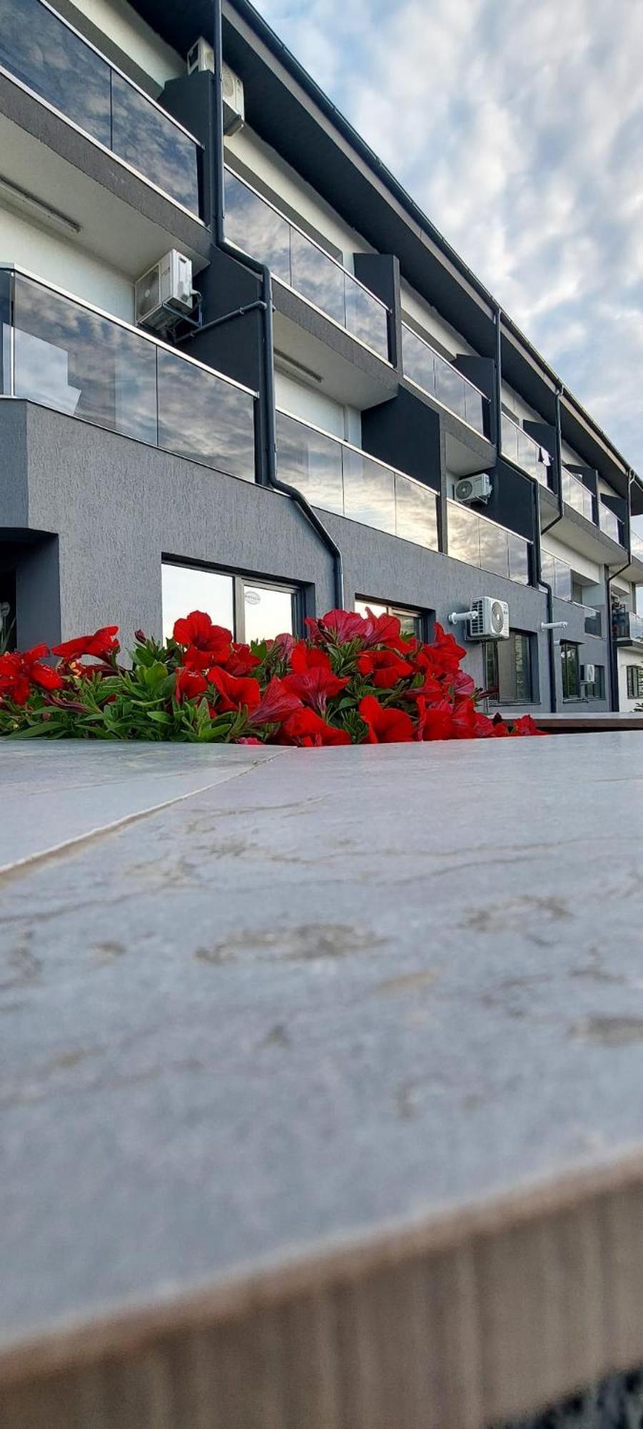 Anelisse Apartments 데포리노드 외부 사진